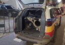 Som alto termina com equipamento apreendido no Caminho Novo