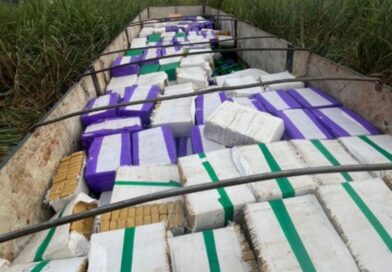 Ação conjunta apreendem 24 toneladas de maconha