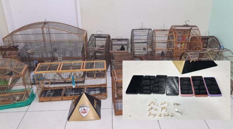 PM prende homem e apreende adolescentes por tráfico de drogas em Itabira