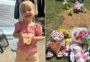 Menina de 2 anos morre após cômoda cair dentro de casa; caso gera alerta sobre segurança doméstica