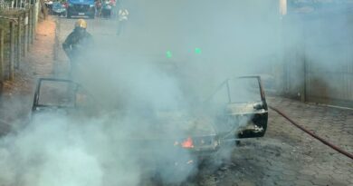 Carro é destruído por incêndio às margens da BR-381 em São Gonçalo do Rio Abaixo