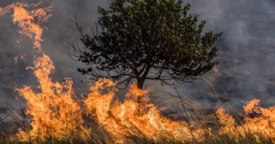 Prefeitura de Itabira intensifica combate às queimadas e orienta sobre aplicação de multas Prefeitura de Itabira intensifica combate às queimadas e orienta sobre aplicação de multas