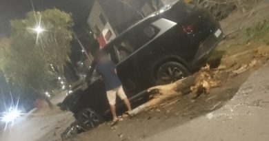 BYD é abandonado após bater em duas árvores em avenida de Itabira