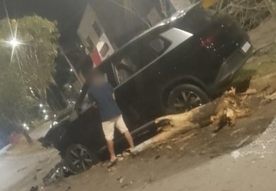 BYD é abandonado após bater em duas árvores em avenida de Itabira