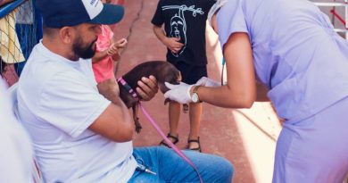 Itabira supera meta de vacinação antirrábica e realiza repescagem neste sábado (12) em regiões de menor cobertura