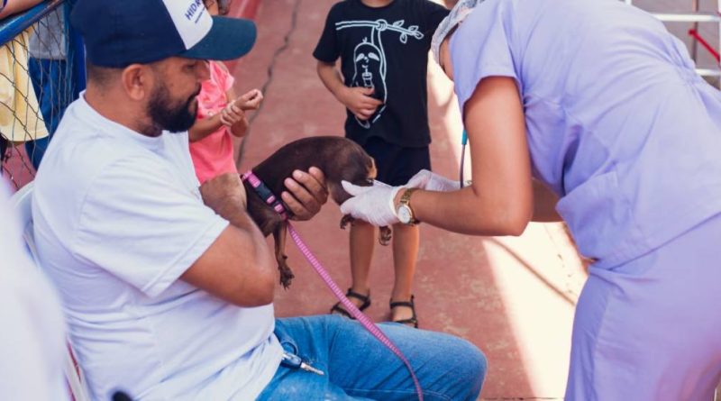 Itabira supera meta de vacinação antirrábica e realiza repescagem neste sábado (12) em regiões de menor cobertura